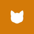 Courious Cat